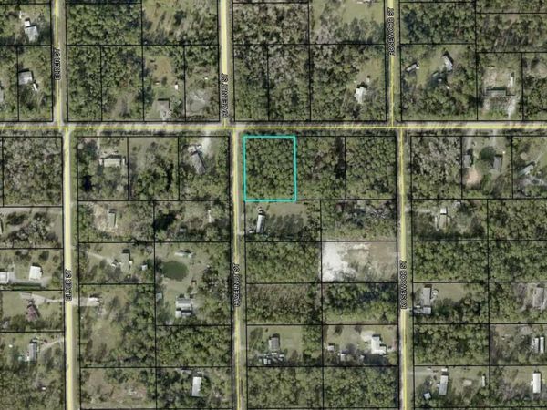 4681 WALNUT AVENUE, BUNNELL, FL 32110