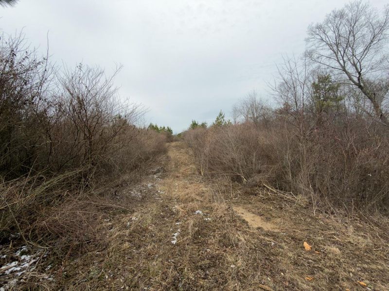 66372 Old Shurtz Road, New Plymouth, OH 45654 Photo 27