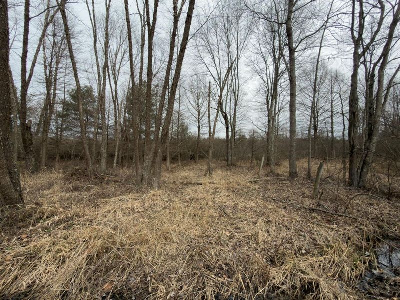 66372 Old Shurtz Road, New Plymouth, OH 45654 Photo 28