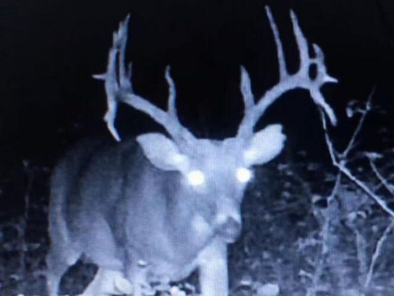 66372 Old Shurtz Road, New Plymouth, OH 45654 Photo 34