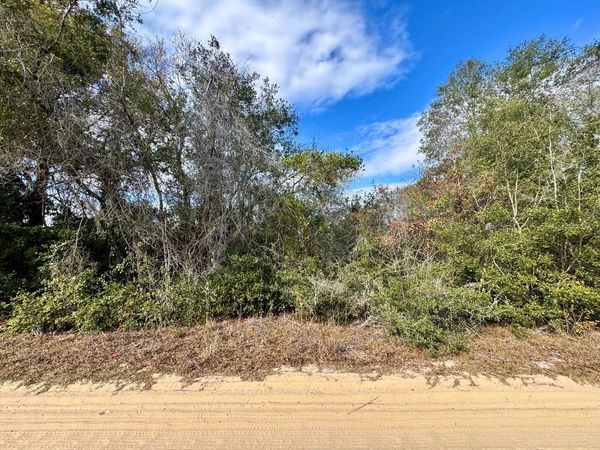 NE 235TH STREET, FORT MC COY, FL 32134