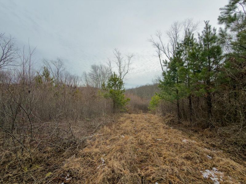 66352 Old Shurtz Road, New Plymouth, OH 45654 Photo 14