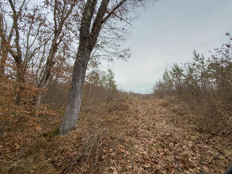 66352 Old Shurtz Road, New Plymouth, OH 45654 Photo 15