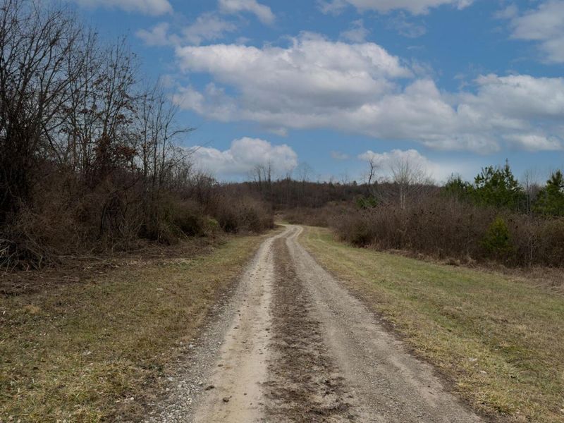 66352 Old Shurtz Road, New Plymouth, OH 45654 Photo 17