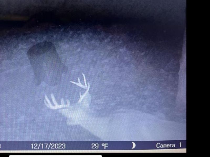 66352 Old Shurtz Road, New Plymouth, OH 45654 Photo 22