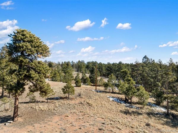 530 Columbine Road, Florissant, CO 80816