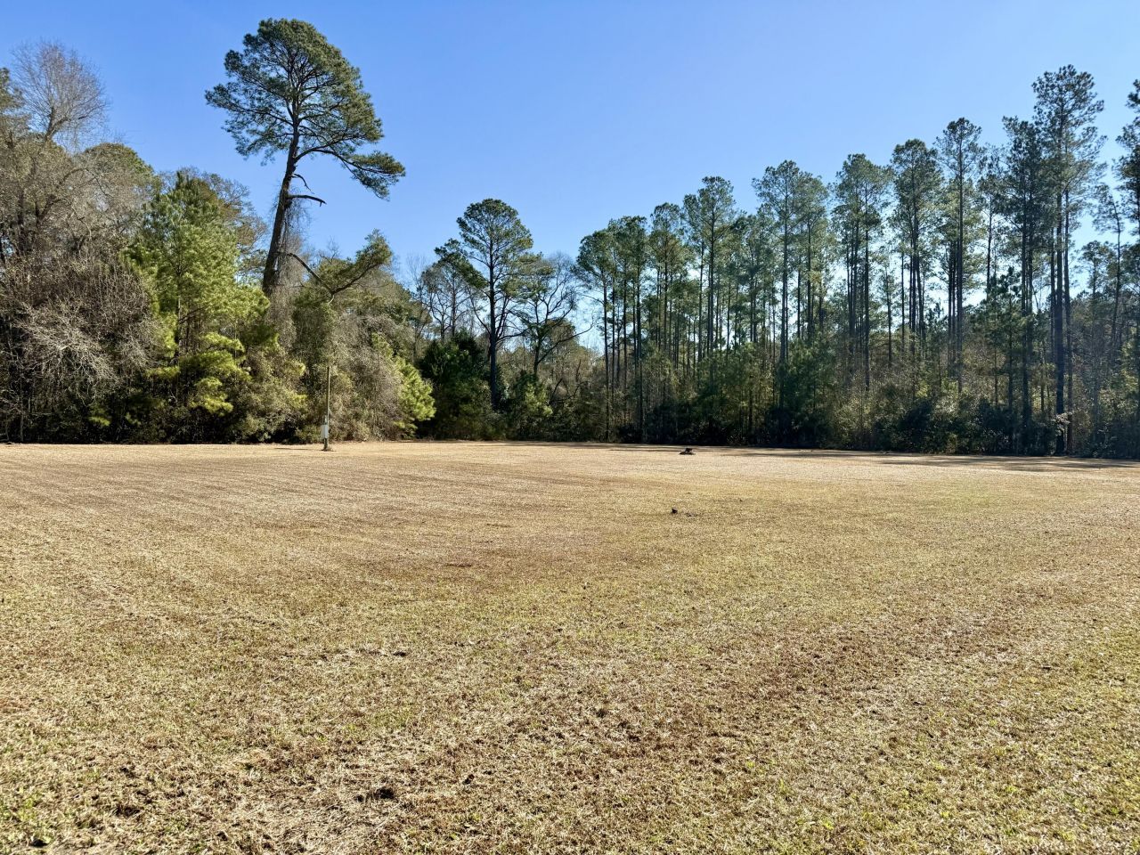 197 Acorn Road Photo 4