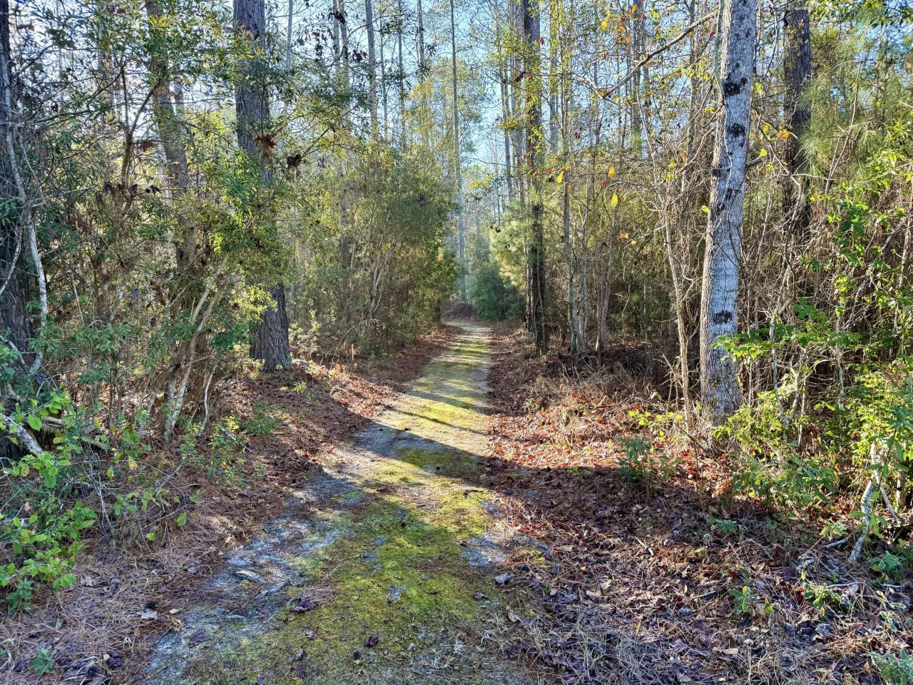 197 Acorn Road Photo 8