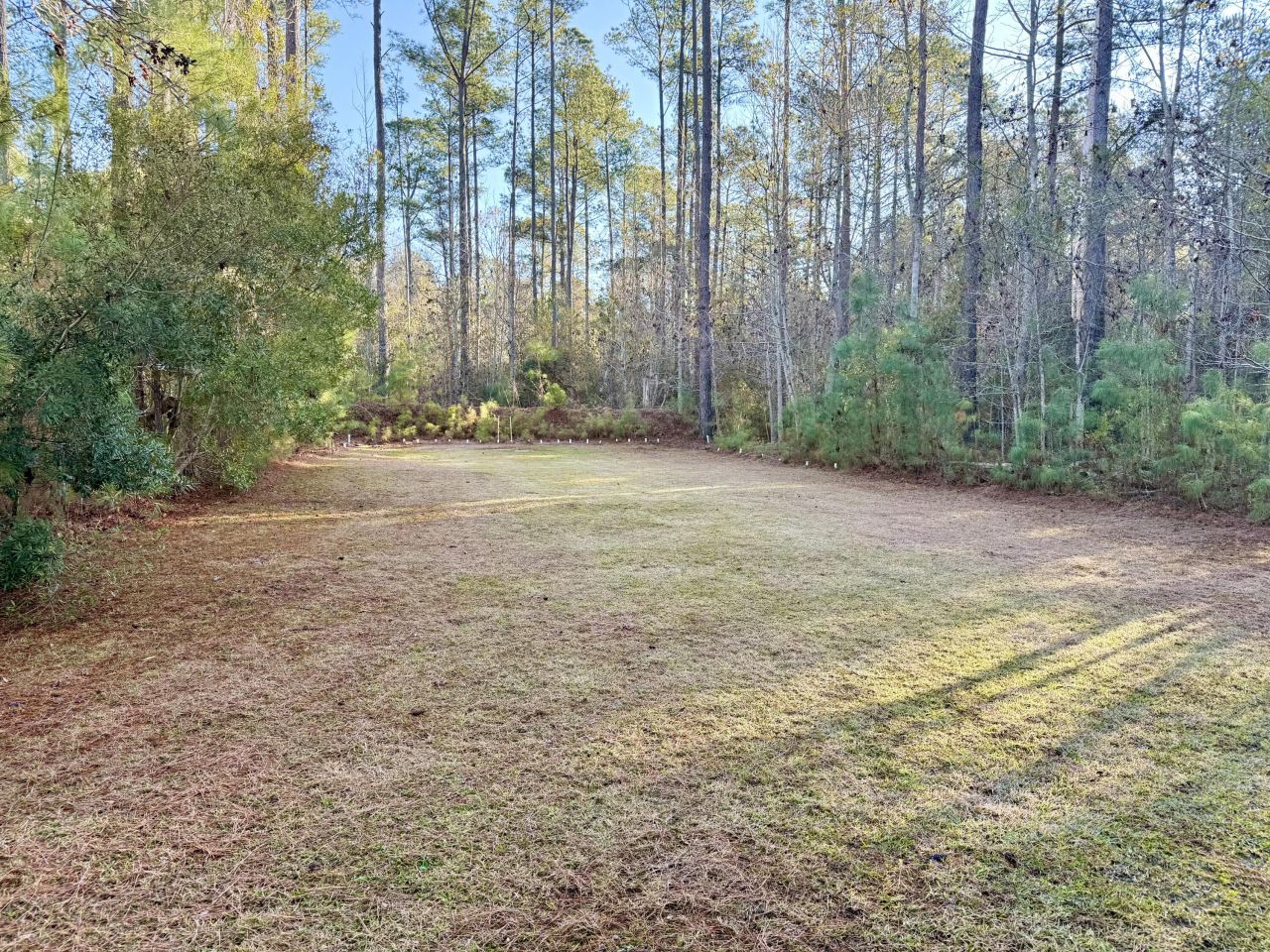 197 Acorn Road Photo 9