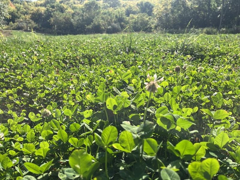 0 Township Hwy 127, Zanesfield, OH 43360 Photo 23