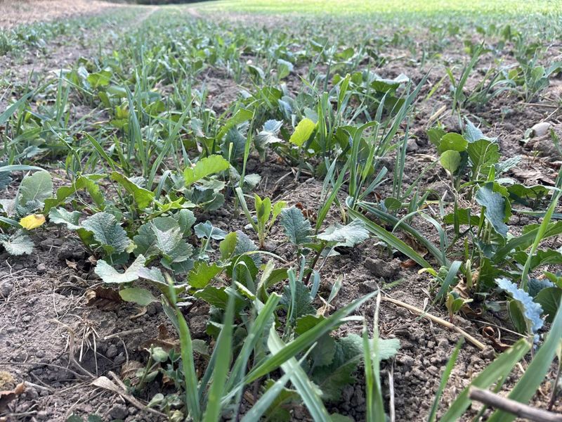 0 Township Hwy 127, Zanesfield, OH 43360 Photo 24