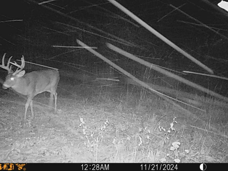 0 Township Hwy 127, Zanesfield, OH 43360 Photo 32