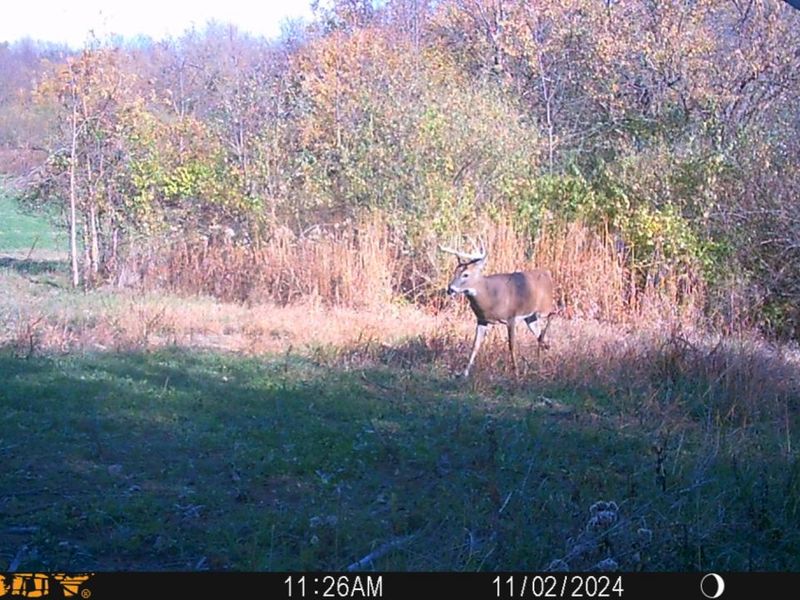 0 Township Hwy 127, Zanesfield, OH 43360 Photo 33