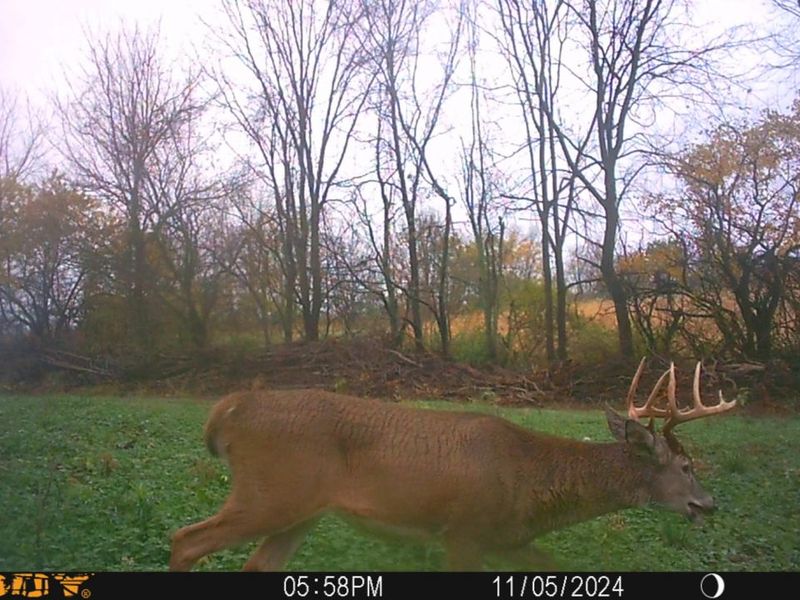 0 Township Hwy 127, Zanesfield, OH 43360 Photo 34