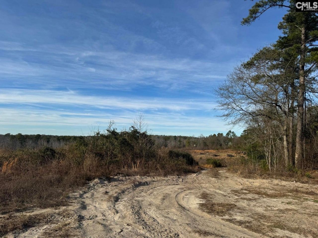 450 Bergen Road Photo 5