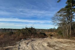 450 Bergen Road photo 4