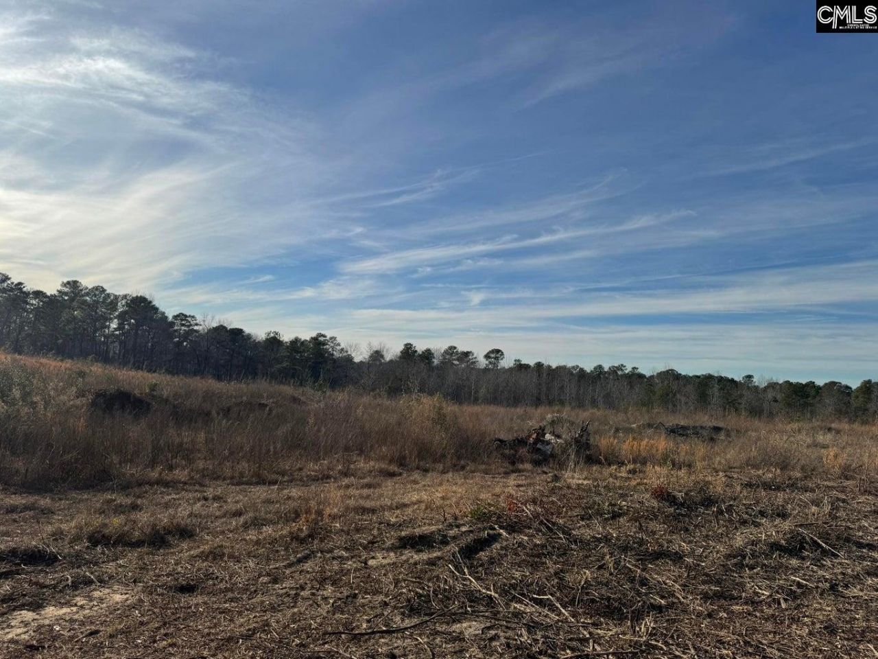 450 Bergen Road Photo 6