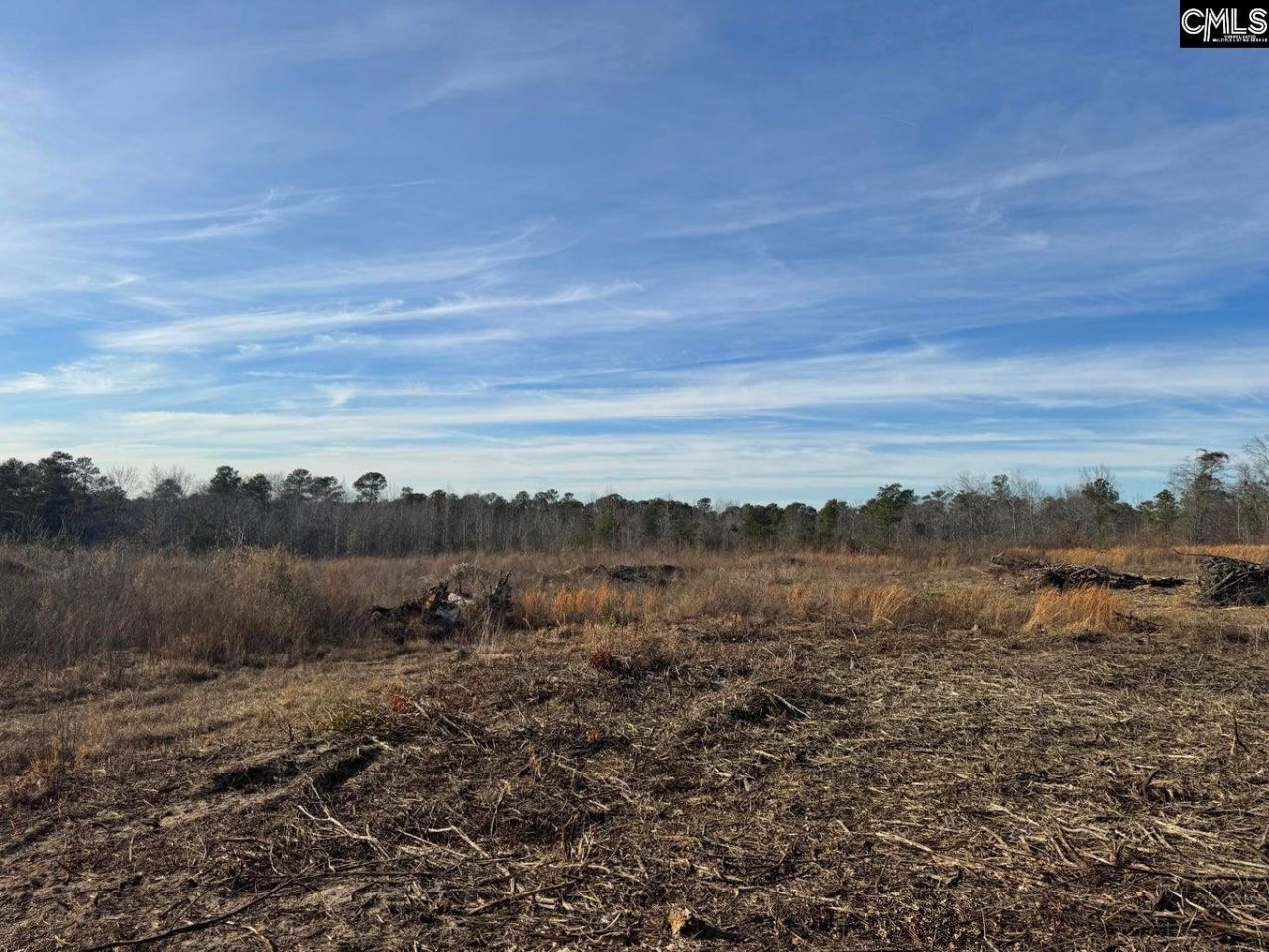 450 Bergen Road Photo 7