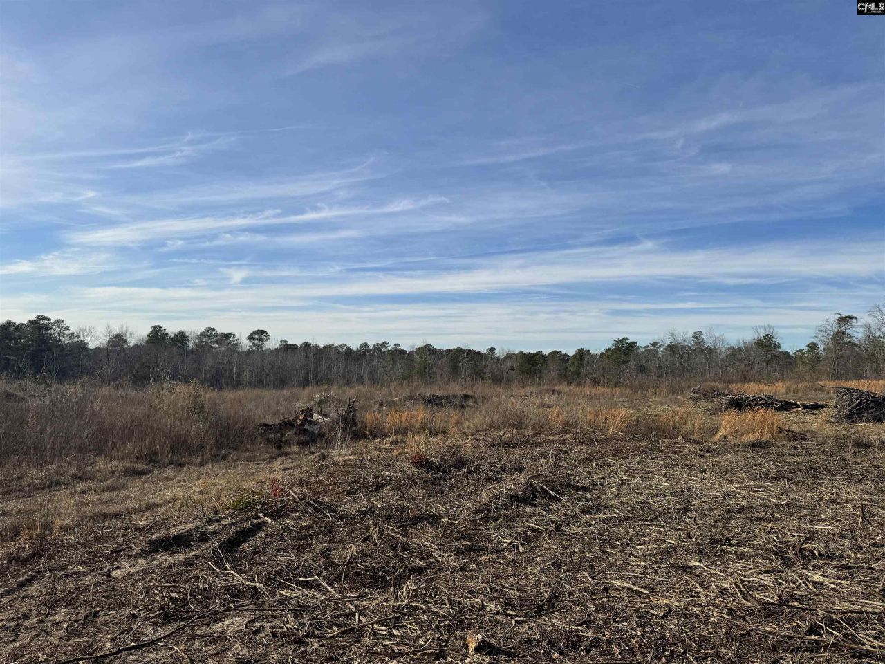 450 Bergen Road Photo 9