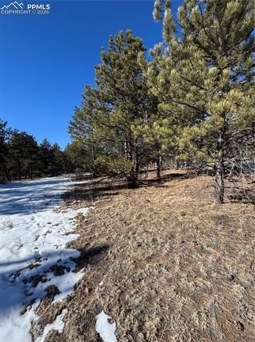 861a Highway 24, Lake George, CO 80827 Main Photo