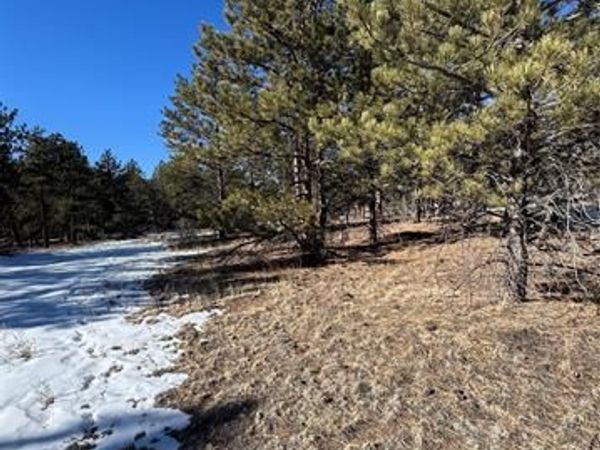 861A Highway 24, Lake George, CO 80827