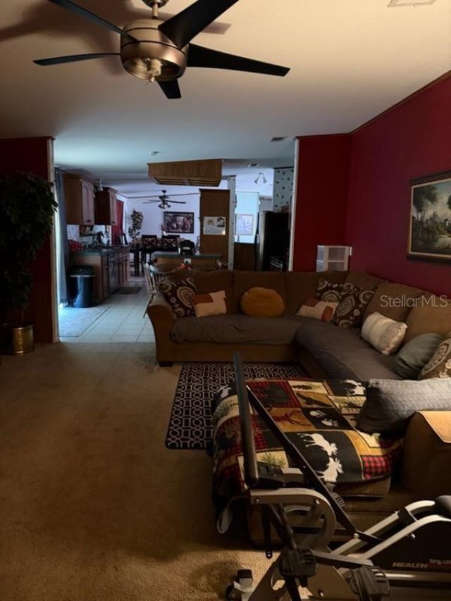 13921 Pine Meadow Road, Kathleen, FL 33849 Photo