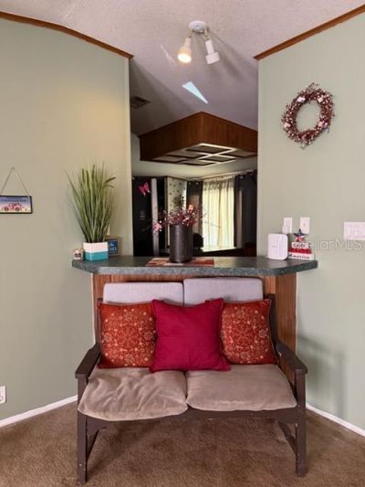 13921 Pine Meadow Road, Kathleen, FL 33849 Photo