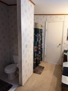 13921 Pine Meadow Road, Kathleen, FL 33849 Photo