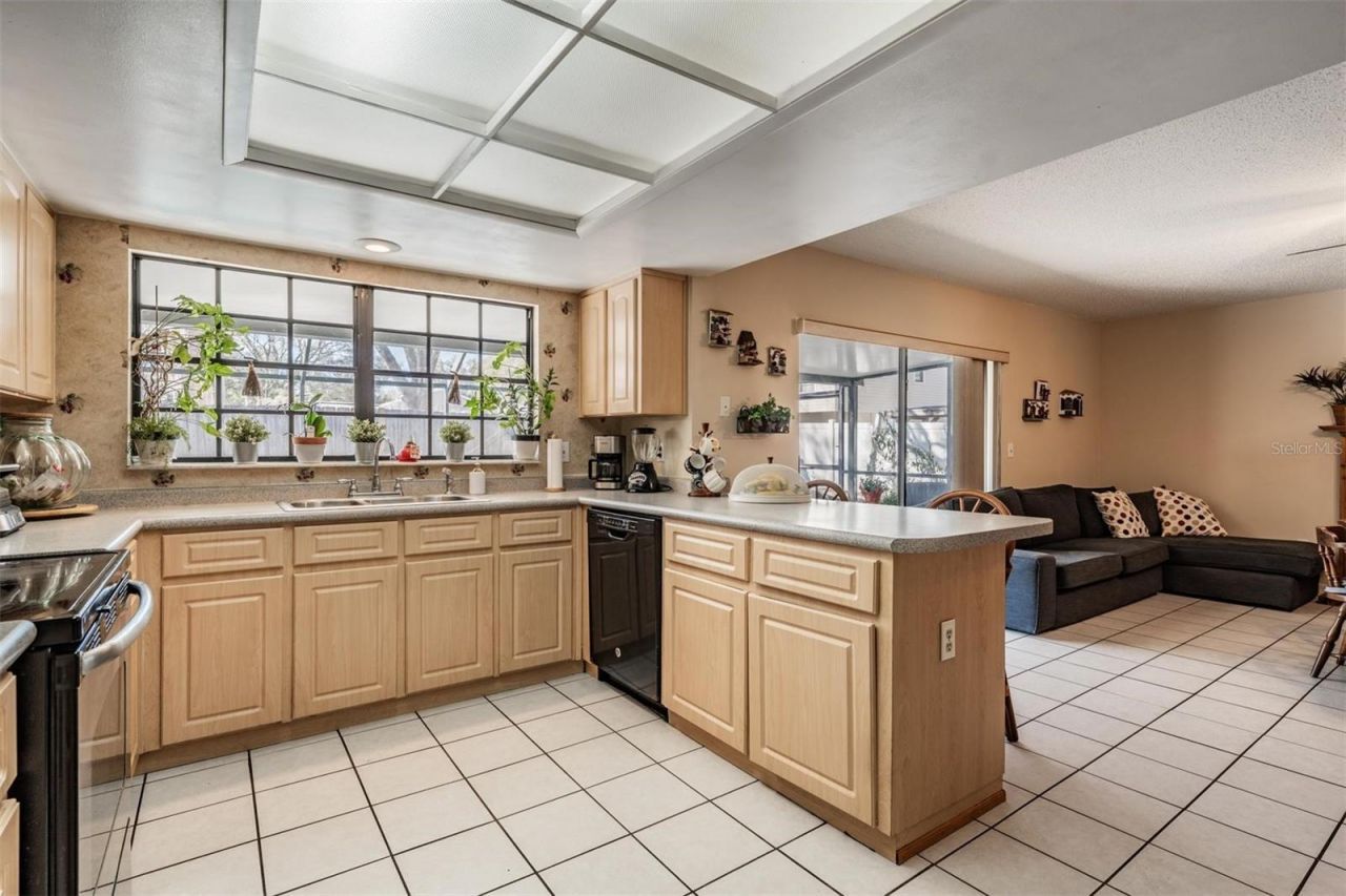 12604 Rain Forest Street, Temple Terrace, FL 33617 Photo