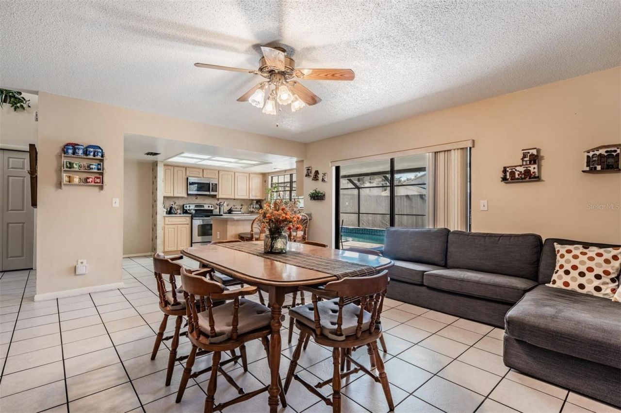 12604 Rain Forest Street, Temple Terrace, FL 33617 Photo