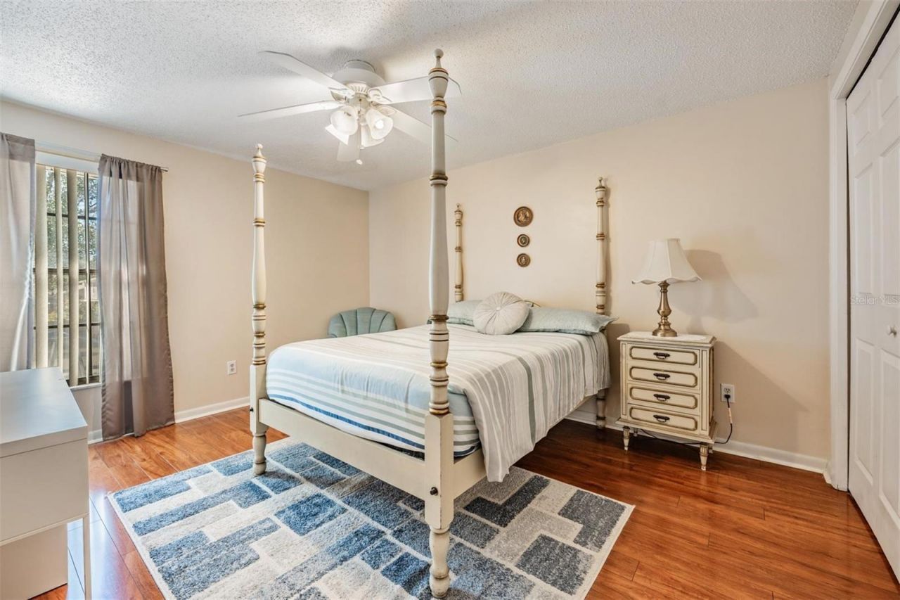 12604 Rain Forest Street, Temple Terrace, FL 33617 Photo