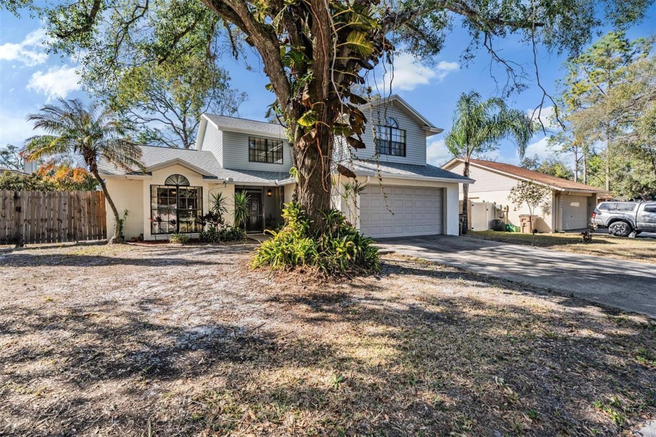 12604 Rain Forest Street, Temple Terrace, FL 33617 Photo