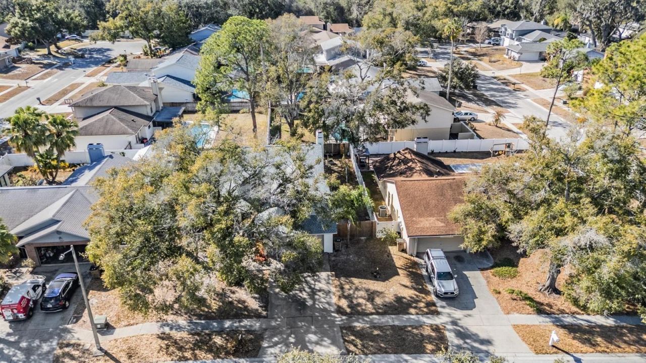 12604 Rain Forest Street, Temple Terrace, FL 33617 Photo