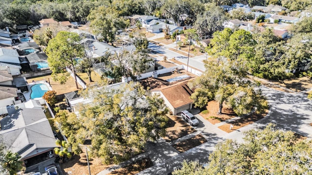 12604 Rain Forest Street, Temple Terrace, FL 33617 Photo