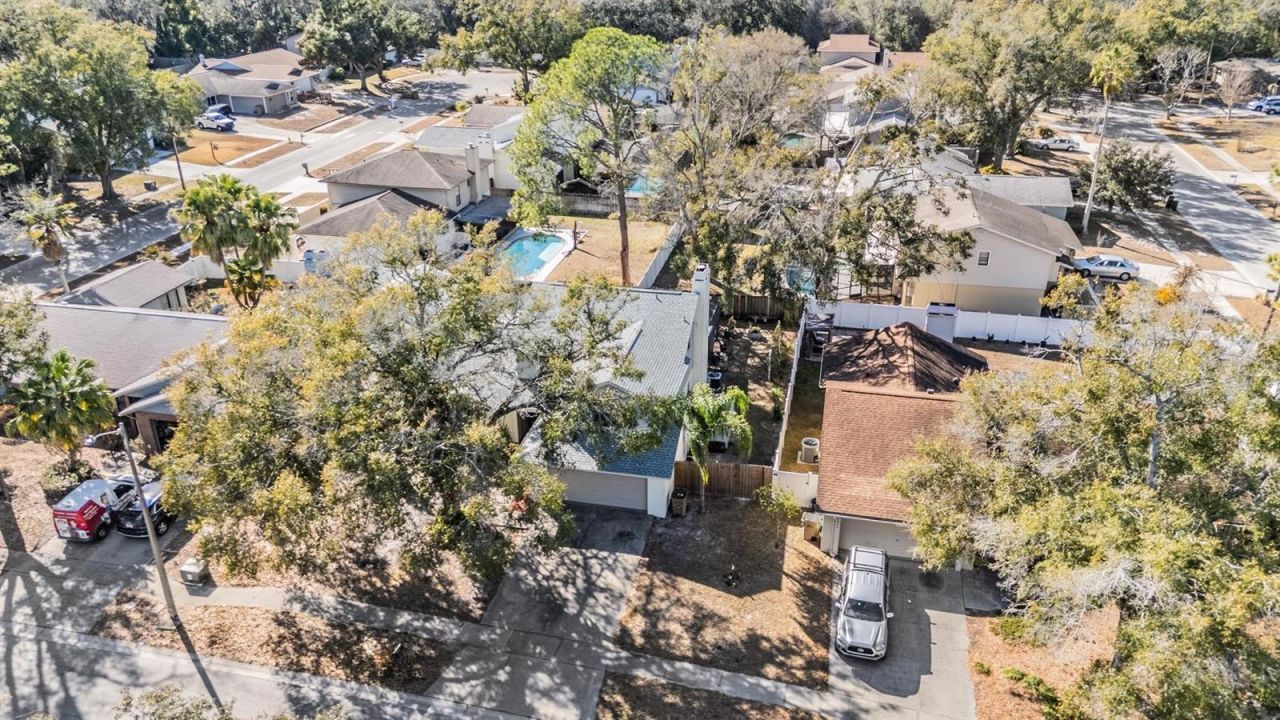 12604 Rain Forest Street, Temple Terrace, FL 33617 Photo