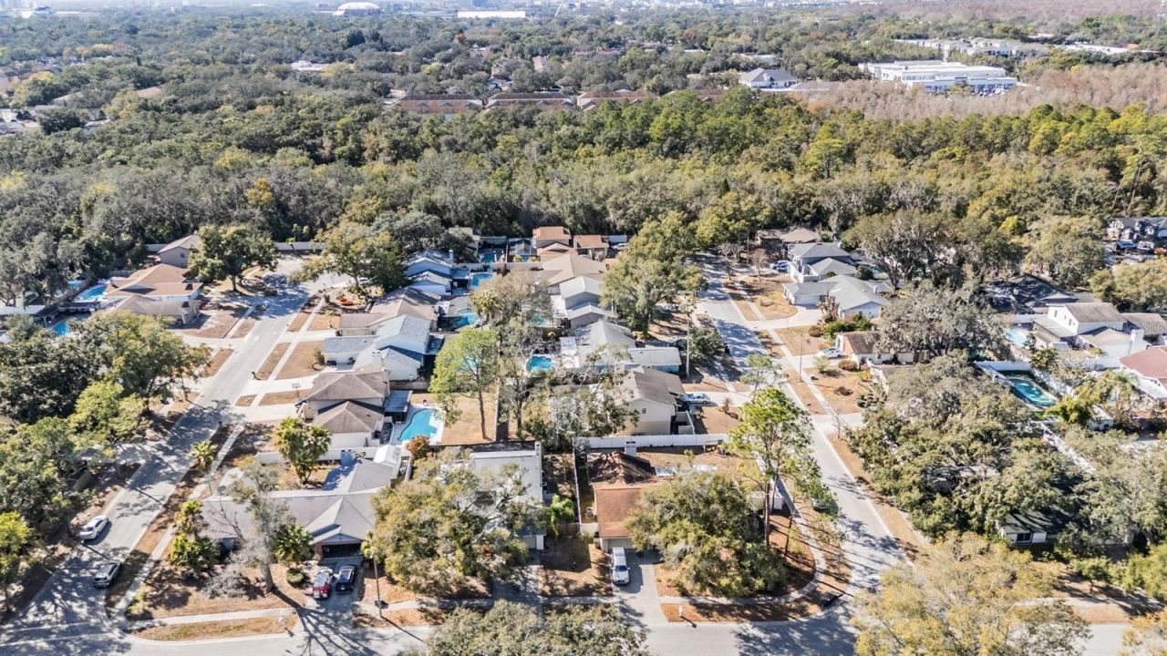 12604 Rain Forest Street, Temple Terrace, FL 33617 Photo