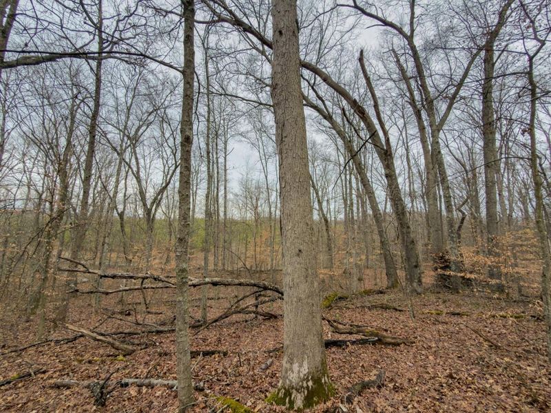 0 Old Shurtz Road , New Plymouth, OH 45654 Photo 18