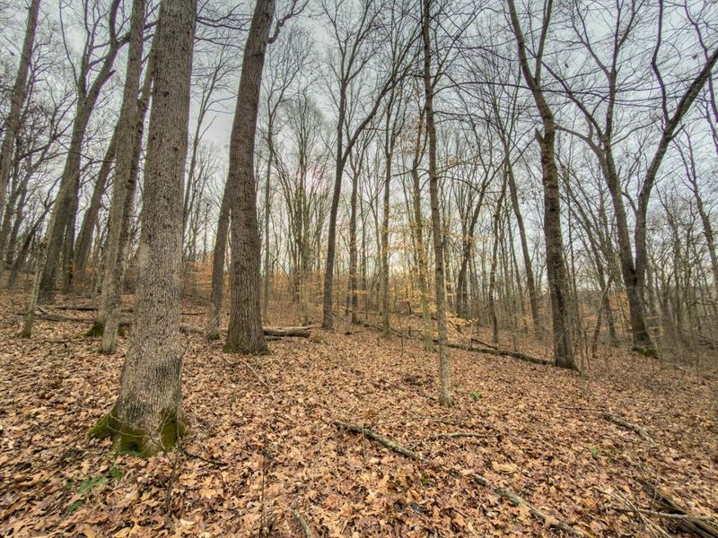 0 Old Shurtz Road , New Plymouth, OH 45654 Photo 19