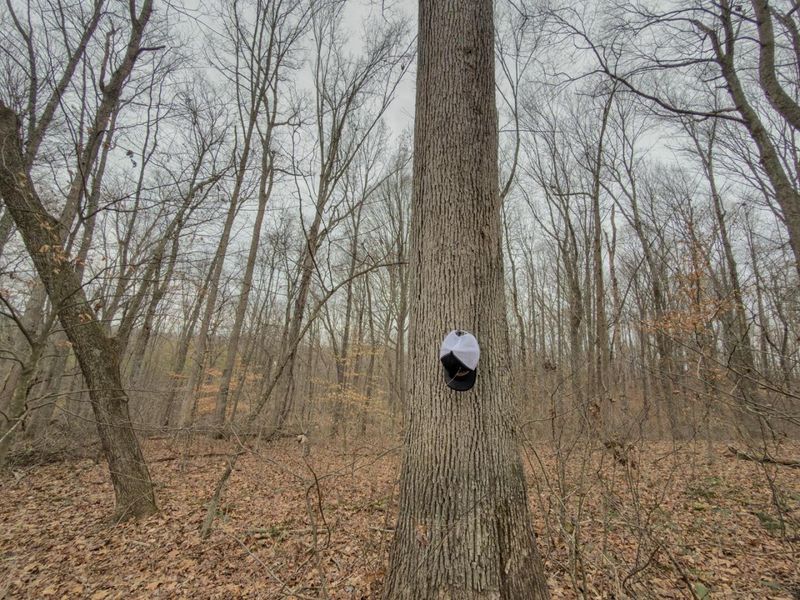 0 Old Shurtz Road , New Plymouth, OH 45654 Photo 20