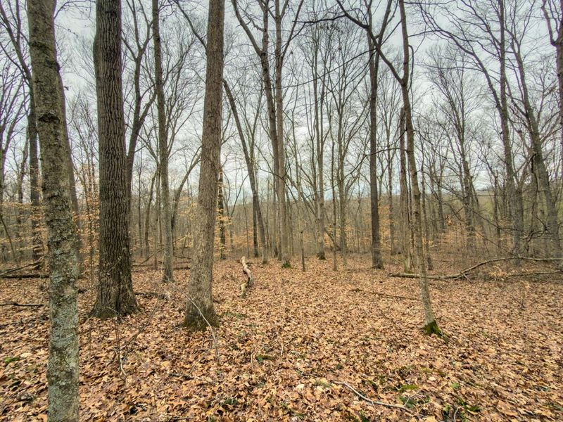 0 Old Shurtz Road , New Plymouth, OH 45654 Photo 21