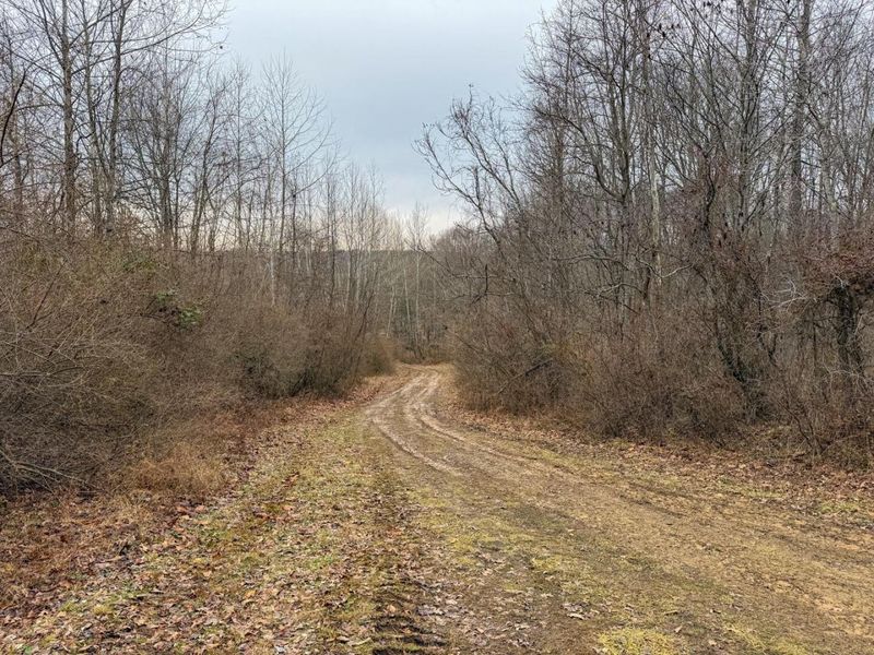 0 Old Shurtz Road , New Plymouth, OH 45654 Photo 22