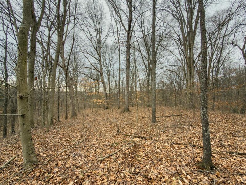 0 Old Shurtz Road , New Plymouth, OH 45654 Photo 23