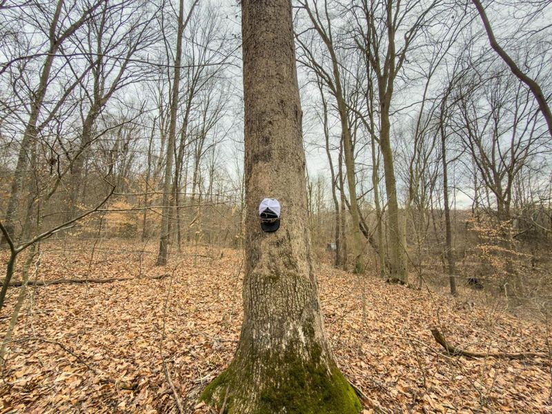 0 Old Shurtz Road , New Plymouth, OH 45654 Photo 24