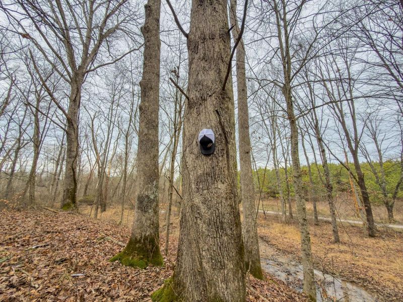 0 Old Shurtz Road , New Plymouth, OH 45654 Photo 5