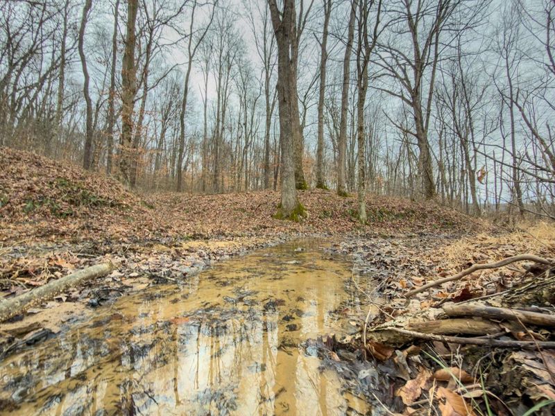 0 Old Shurtz Road , New Plymouth, OH 45654 Photo 8