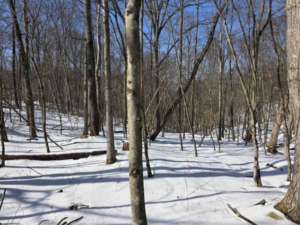 Lot 17,18 &19 Poplar Drive, Grafton, WV 26354