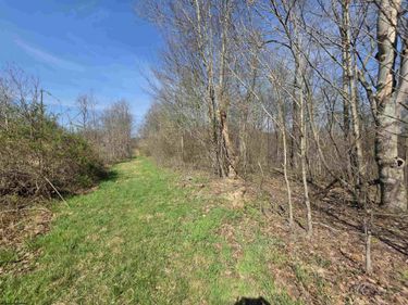 Lot 17,18 &19 Poplar Drive, Grafton, WV 26354