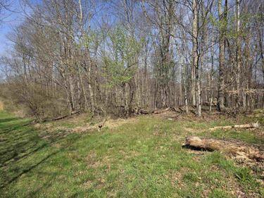 Lot 17,18 &19 Poplar Drive, Grafton, WV 26354