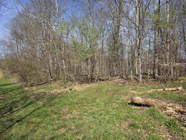Lot 17,18 &19 Poplar Drive, Grafton, WV 26354
