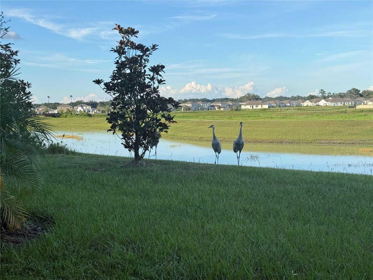 10958 Rustic Timber Loop, San Antonio, FL 33576 Photo